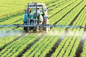 Farmers propose increasing support in restructuring agricultural economics