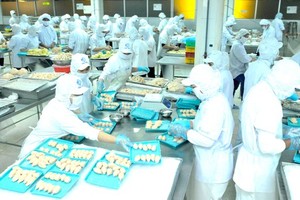 Food processing at the factory of CJ Group invested in Ho Chi Minh City. (Photo: SGGP)