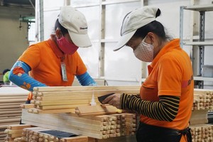 Wood, forest products continue to see trade surplus