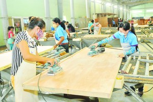 Forestry industry aims at exports of $20 billion by 2025