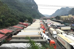 Container trucks carrying agricultural products are jammed at Tan Thanh Border Gate in Lang Son Province. (Photo: SGGP)