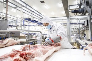 Masan MEATLife Joint Stock Company has been building a complex to process clean pork in Long An Province to serve the Southern market. (Photo: SGGP)