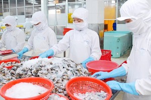 Export growth rate not as high as expected after CPTPP takes effect for one year