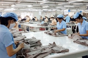 US, EU not restrict imports of goods from Vietnam