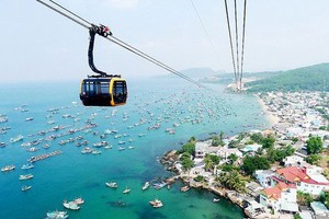 Tourism enterprises need urgent solutions