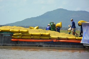 An Giang Province asks for permission to export rice