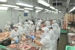 Workers process pork for domestic consumption demand at Vissan Company. (Photo: SGGP)