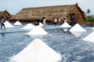 Salt farmers in need of financial support