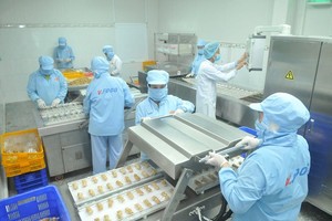Workers produce quail egg offal at Vinh Thanh Dat Company. (Photo: SGGP)