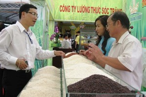 The representative of a rice producer introduces high-quality rice varieties of Soc Trang Province. (Photo: SGGP)