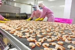 Mekong Delta provinces boost shrimp exports
