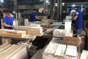 Opportunities to develop agricultural materials domestically