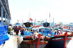 Mekong Delta provinces promote development of fishery logistics services