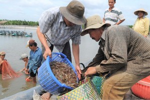 Halal food market: great opportunity for Vietnamese agricultural products