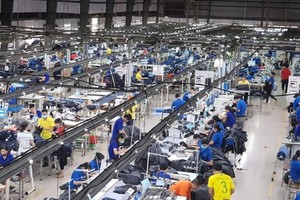 Strict punishment on slow equitization, divestment of State capital proposed