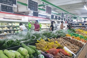 HCMC’s CPI rises 0.33 percent in May