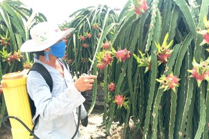 Solutions needed for agricultural products to no longer call for rescue