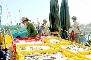 Fishers overcome difficulties to set sail