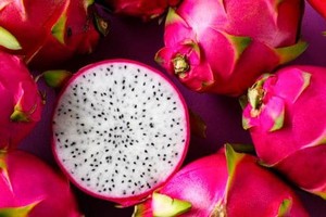 Vietnamese dragon fruit gains favor in Australia