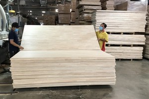 India decides not to impose anti-dumping duty on MDF boards from Vietnam