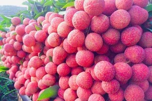 E-commerce gives MSMEs equal opportunities to access global market