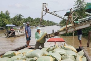 MoIT proposes two solutions to resolve rice congestion in Mekong Delta