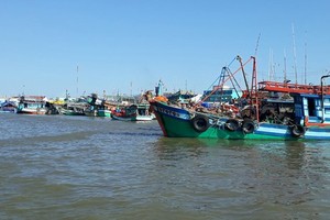 Many fishing boats in Mekong Delta stay ashore