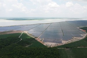 Renewable energy companies thrive on rising demand