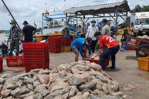 Mekong Delta provinces restart production chains