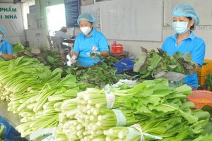 Prices of vegetables, fresh foods escalate