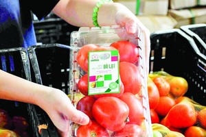 Vegetables grown in Da Lat increase prices