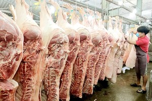 Inspections on food safety to be carried out in 12 key provinces, cities