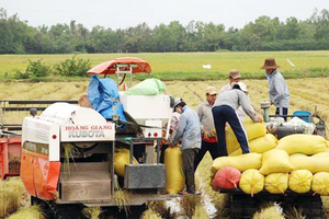 Rice output up 1.1 million tons in 2021