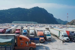 Customs clearance resumed at border gates, crossings with China