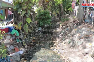 Phường An Phú Đông, quận 12: Người dân sống với kênh rác