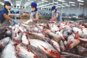 Điểm tin SGGP Online ngày 18.09.2018