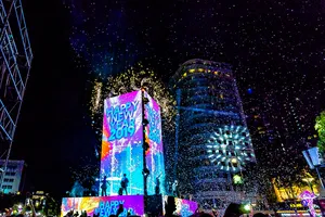 TPHCM: Tưng bừng sắc màu đón năm mới 2019