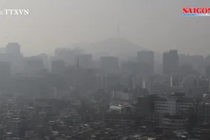 Điểm tin SGGP Online ngày 1-10-2019