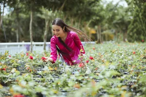 Á hậu Thủy Tiên quảng bá du lịch Đồng Tháp