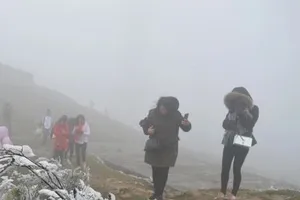 Podcast bản tin trưa 16-12: Miền Bắc trời rất lạnh, đề phòng băng giá, Nam bộ nắng ráo; Gây hơn 100 vụ trộm két sắt trong 20 năm