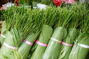 Podcast: Miền Bắc “cháy” lá dong