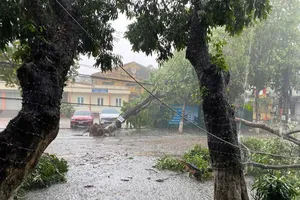 Podcast bản tin tối 4-5: Mây dông quật đổ cây đa cổ thụ ở Hòa Bình, cảnh báo thời tiết nguy hiểm chiều tối 5-5