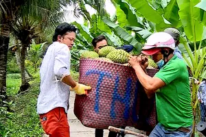 Podcast bản tin tối 17-5: Khó xuất khẩu, nông dân ĐBSCL ồ ạt chở sầu riêng ra đường bán rẻ, cắt lỗ; Hỏa hoạn thiêu rụi xưởng gỗ lớn ở Lâm Đồng