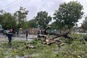 Podcast bản tin ANTT 15-8: Cà Mau: Cây xanh bật gốc, đè 2 người đi đường; Bắt giữ nghi phạm truy sát 3 mẹ con khiến bé trai 5 tuổi tử vong