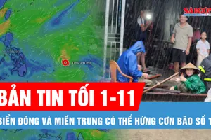Bản tin tối 1-11: Áp thấp nhiệt đới xuất hiện, Biển Đông và miền Trung có thể hứng cơn bão số 13
