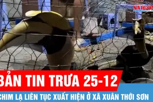 Bản tin trưa 25-12: Chim lạ liên tục xuất hiện ở xã Xuân Thới Sơn