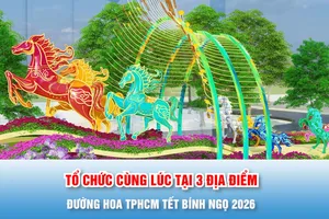 Podcast bản tin trưa 23-1: Lần đầu tiên Đường hoa TPHCM Tết Bính Ngọ 2026 tổ chức cùng lúc tại 3 địa điểm