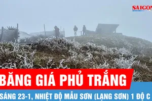Có nơi 1 độ C, băng giá phủ trắng đỉnh Mẫu Sơn (Lạng Sơn) 