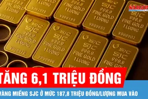 Giá vàng miếng SJC đã lên 190,8 triệu đồng/lượng