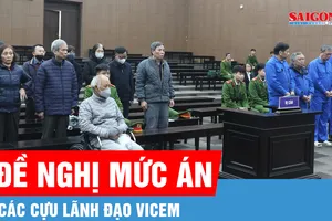 Cựu Chủ tịch Hội đồng thành viên VICEM bị đề nghị 12-13 năm tù